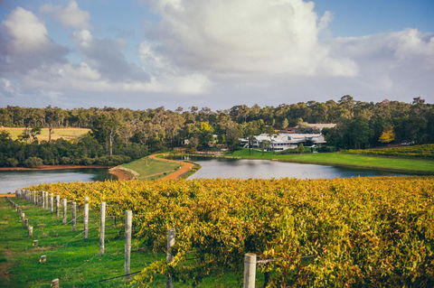 For The Birds Yallingup - Accommodation Redcliffe 32