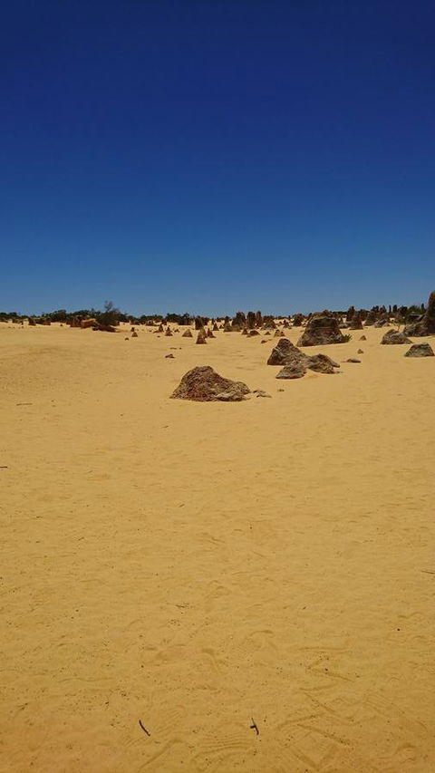 The Bothy Lancelin Family Retreat - Accommodation Redcliffe 35