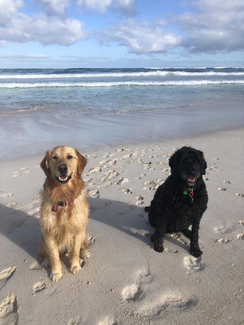 The Bothy Lancelin Family Retreat - Accommodation Redcliffe 32