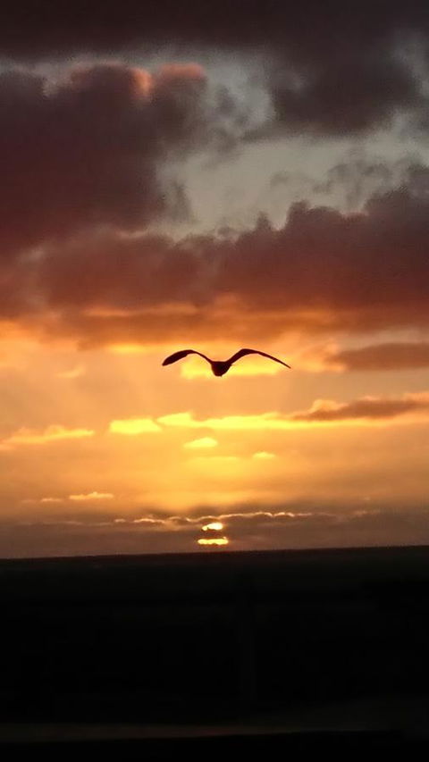 The Bothy Lancelin Family Retreat - Accommodation Redcliffe 28