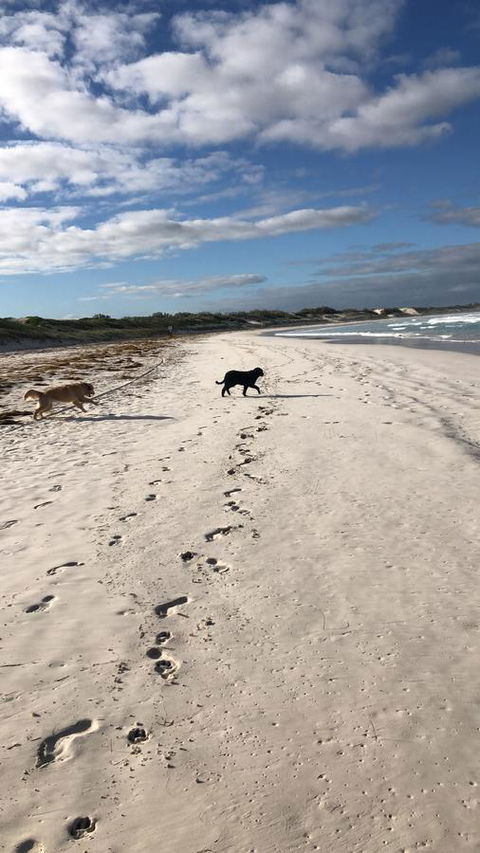 The Bothy Lancelin Family Retreat - Accommodation Redcliffe 30