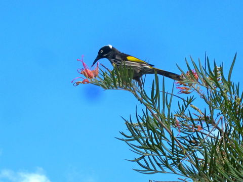 Bridgetown Valley Lodge - Accommodation Redcliffe 42