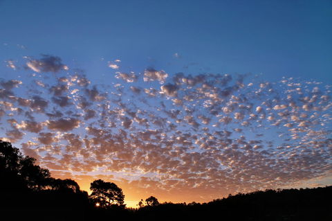 Bridgetown Valley Lodge - Accommodation Redcliffe 6