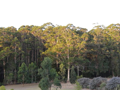Big Brook Retreat - Accommodation Redcliffe 11
