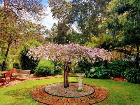 Adamsons Riverside Accommodation - Accommodation Redcliffe 25