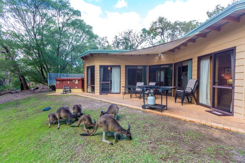 Yelverton Brook Conservation Sanctuary - Accommodation Redcliffe 18