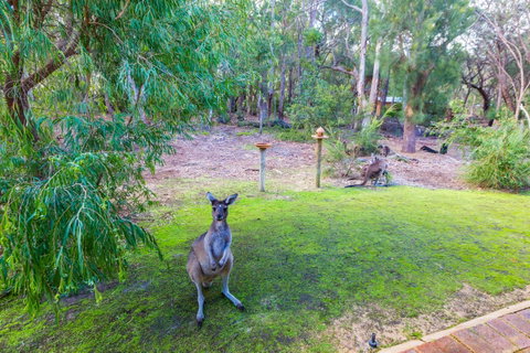 Yelverton Brook Conservation Sanctuary - Accommodation Redcliffe 11