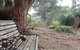 Yelverton Brook Conservation Sanctuary - thumb 42