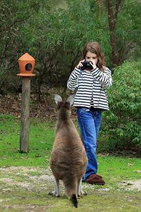 Yelverton Brook Conservation Sanctuary - Accommodation Redcliffe 39