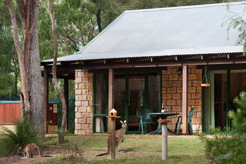 Yelverton Brook Conservation Sanctuary - Accommodation Redcliffe 36