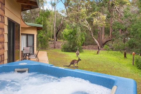 Yelverton Brook Conservation Sanctuary - Accommodation Redcliffe 9
