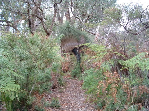 Yelverton Brook Conservation Sanctuary - Accommodation Redcliffe 41