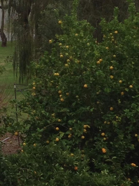 Bright & Beautiful Home On The Hills! - Accommodation Redcliffe 34