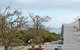 North Coogee Beach House - thumb 8