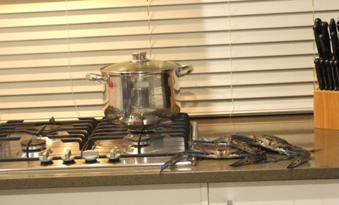 South Yunderup Holiday Rental - Accommodation Redcliffe 12