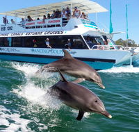 Belvedere Caravan Park - Accommodation Redcliffe