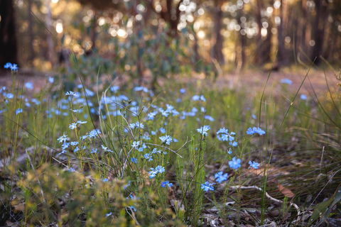 Amaroo Retreat & Spa - Accommodation Redcliffe 15