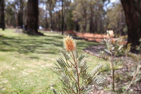 Amaroo Retreat & Spa - Accommodation Redcliffe 19