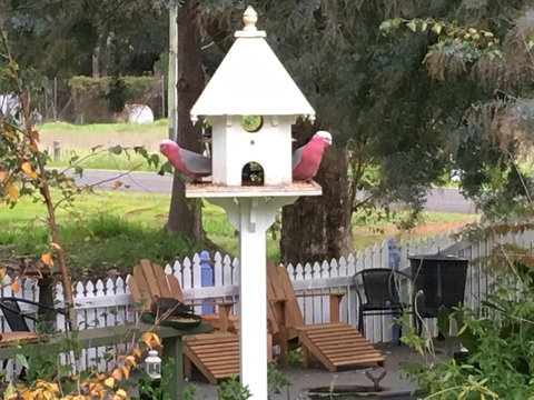 Applegate Lane Chalet - Accommodation Redcliffe 25