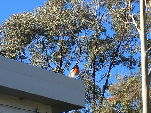 Applegate Lane Chalet - Accommodation Redcliffe 27