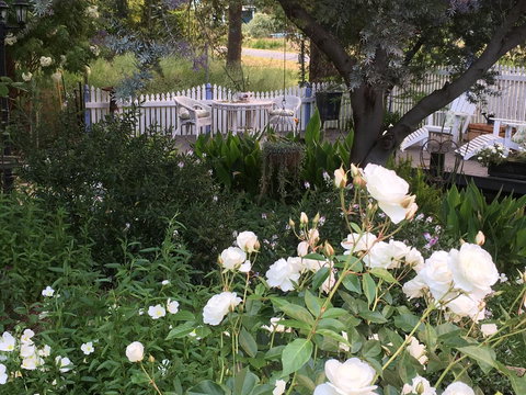 Applegate Lane Chalet - Accommodation Redcliffe 22