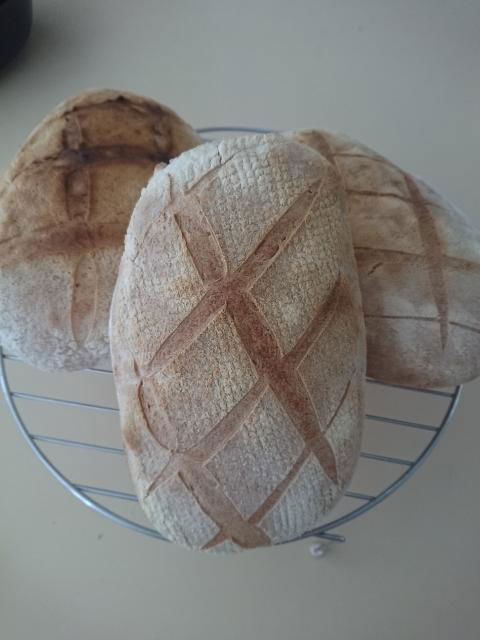 Margaret River Retreat - Accommodation Redcliffe 1