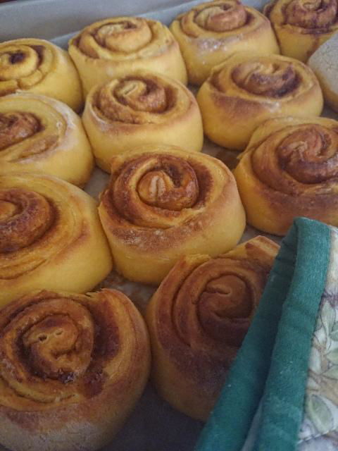 Margaret River Retreat - Accommodation Redcliffe 3