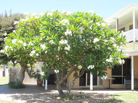 Kalbarri Riverfront Unit - Accommodation Redcliffe 6