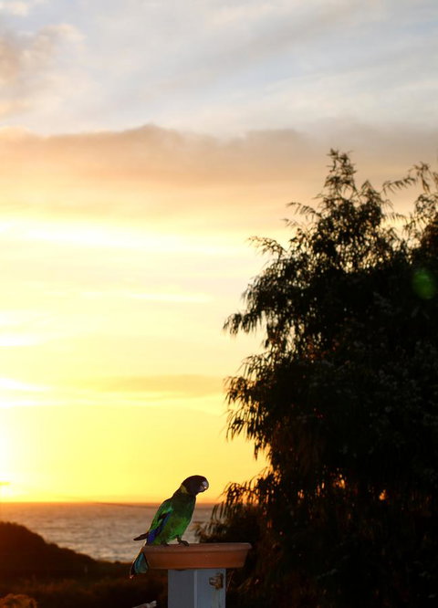 Peppy Beach Ocean Views - Accommodation Redcliffe 12