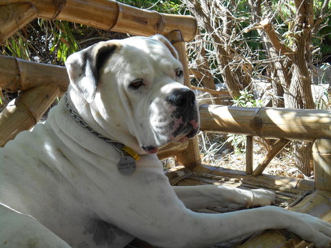 Moore River Cottage - Accommodation Redcliffe 19