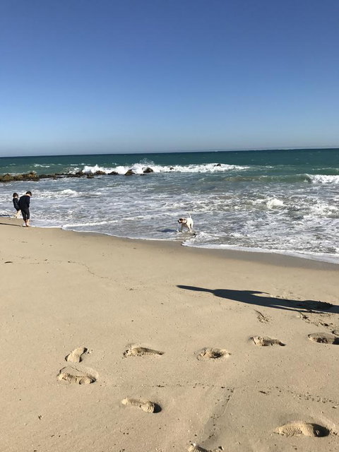 Moore River Cottage - Accommodation Redcliffe 13