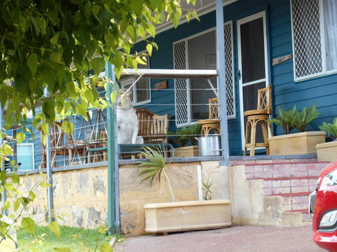 Moore River Cottage - Accommodation Redcliffe 2