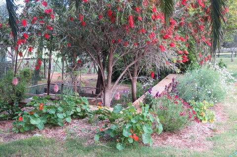 Bentwood Olive Grove Accommodation - Accommodation Redcliffe 21