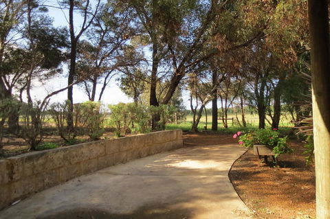 Bentwood Olive Grove Accommodation - Accommodation Redcliffe 2