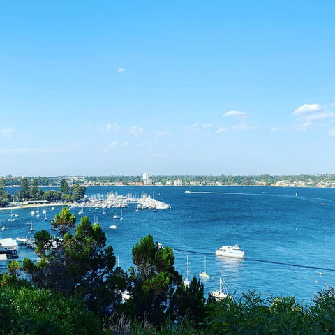 SEA BREEZE â€“ Between Cottesloe Beach & Swan River - Accommodation Redcliffe 23