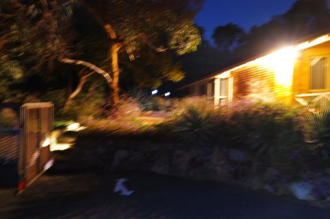 Eleebana Guest House - Accommodation Redcliffe 34