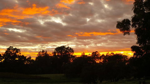 Windfall Estate Vineyard Cottage - Accommodation Redcliffe 32