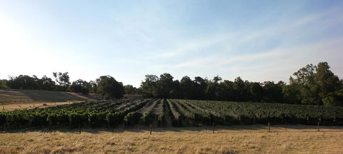 Windfall Estate Vineyard Cottage - Accommodation Redcliffe 28