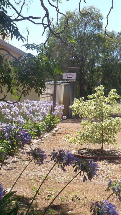 Windfall Estate Vineyard Cottage - Accommodation Redcliffe 13