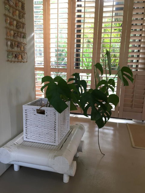 DESIGNER'S STUDIO - Accommodation Redcliffe 5
