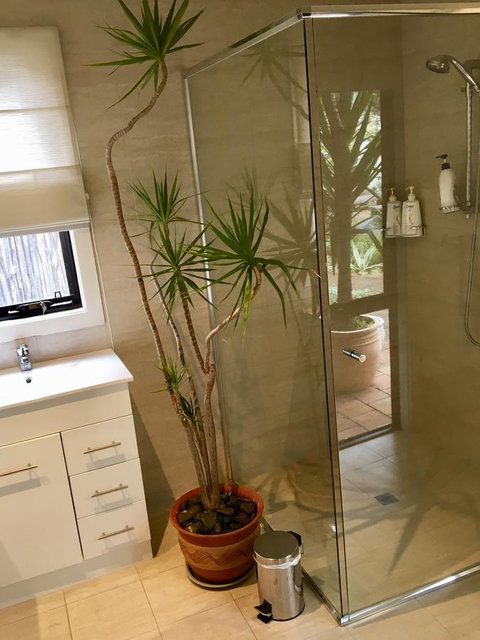 DESIGNER'S STUDIO - Accommodation Redcliffe 11