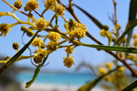 Eagle Bay House - Accommodation Redcliffe 28