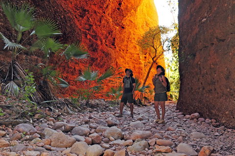 Bungle Bungle Wilderness Lodge - Accommodation Redcliffe 13