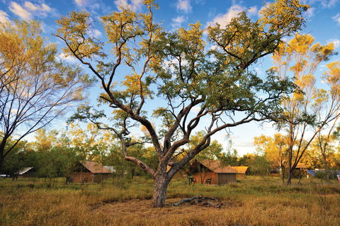 Bungle Bungle Wilderness Lodge - Accommodation Redcliffe 11