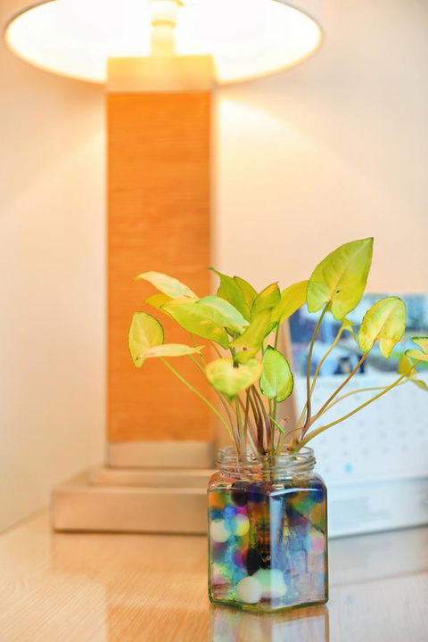 Bunbury Hotel Koombana Bay - Accommodation Redcliffe 7