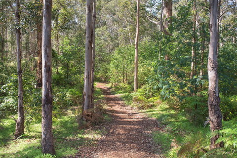 Tall Trees Margaret River - Accommodation Redcliffe 4