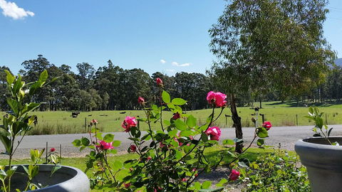 The Manager\'s Cottage - Accommodation Redcliffe 17