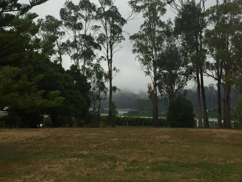 Amble\'a\'While On Tamar - Accommodation Redcliffe 39