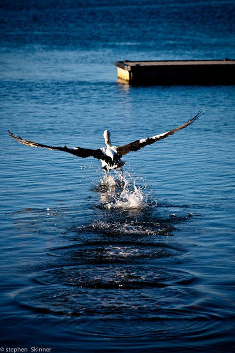 The Waterfront Wynyard - Accommodation Redcliffe 17