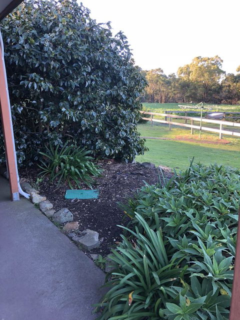 Acton Park Holiday Units - Accommodation Redcliffe 20